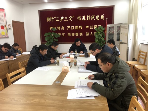 市乡村振兴总结.jpg