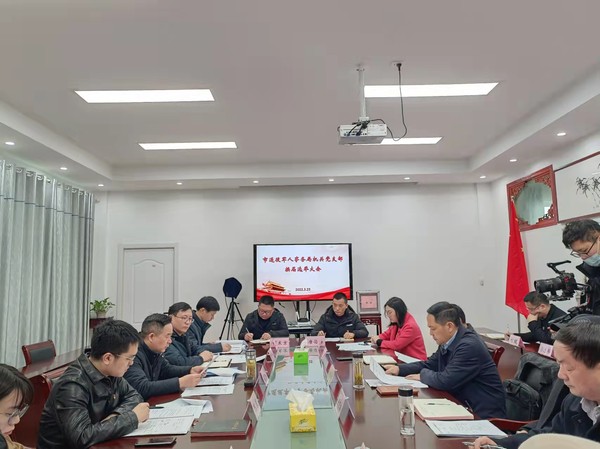 宣城市退役军人事务局机关党支部换届大会.jpg