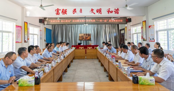 乡村电网“一村一品”建设活动.jpg