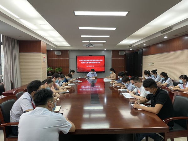 党史学习教育专题组织生活会_200285142.jpg