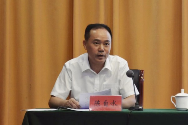 4陈书记民评讲话.jpg
