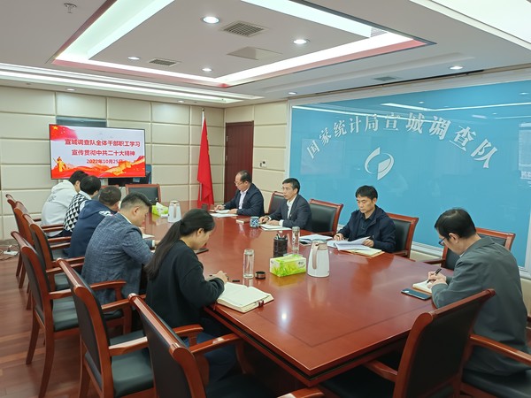 宣城调查队迅速掀起学习党的二十大精神热潮  .jpg