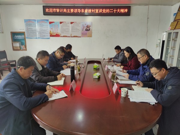市审计局.png
