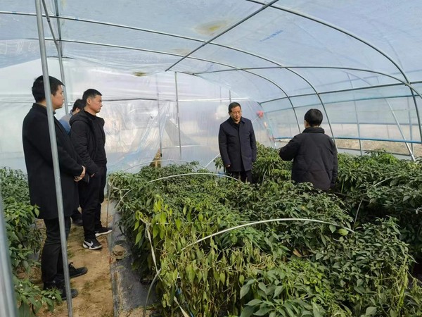 市乡村振兴2.jpg
