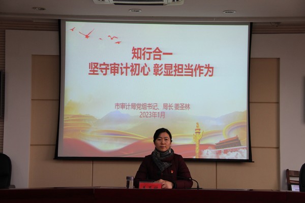 市审计局1.png