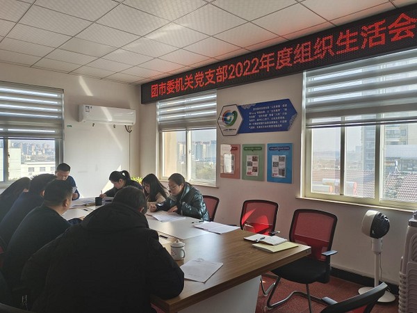 团市委机关党支部召开2022年度组织生活会2.png