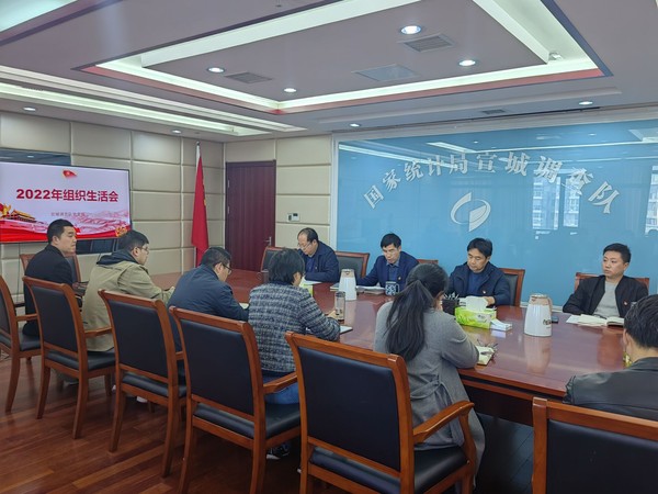 宣城调查队开展2022年度组织生活会.jpg