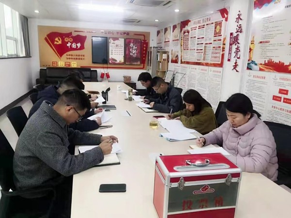 宣城铁塔公司第二党支部召开 组织生活会.jpg