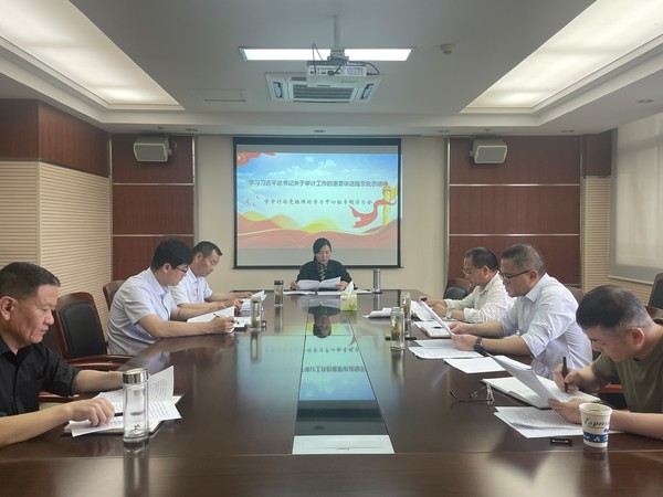 市审计局1.png